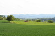 Blick auf Albtrauf / Schwäbische Alb Blick auf Albtrauf / Schwäbische Alb