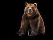 Bear on black