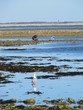 pêcheurs sur une plage cherchant des coquillages