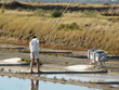 Travailleur en marais salant