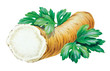 Meerrettich