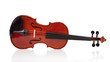 Classical Violin on White