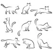 cat drawing set cat drawing set