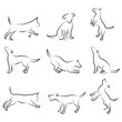 dog drawing set dog drawing set