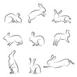 rabbit drawing set rabbit drawing set