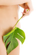 female torso with green leaf over white