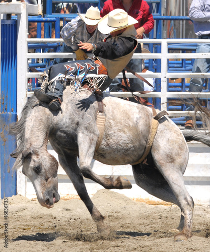 Photo: Bronco Buster Bronco Buster