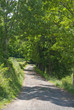 Way1