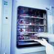 Wissenschaft Arzt Labor Schweinegrippe