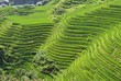 LongJi rice terraces (Guangxi province, China) in late summer