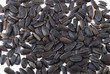sunflower seeds