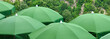 Parasols verts Parasols verts