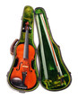 Violin in Its Case