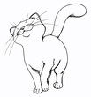 Katze, Kater, stolz, fröhlich, glücklich