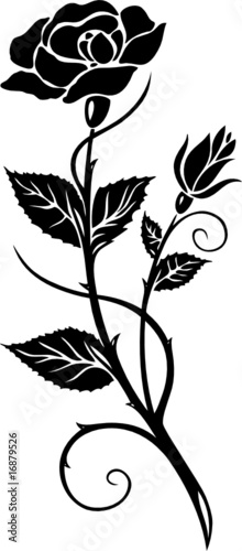 Vektor: Wandtattoo, Blume, Rose, Blüte, filigran und floral Wandtattoo, Blume, Rose, Blüte, filigran und floral
