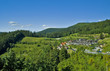 Dollenberg