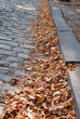 Feuilles