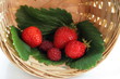 Panier de fraises et framboises