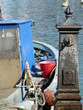 fontanella