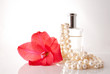 Bottle with perfume, a pearl necklace and a red flower Bottle with perfume, a pearl necklace and a red flower