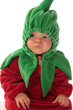 Foto: junge chilischote junge chilischote