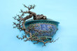 potted landscape