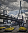 Le pont Erasmus, Rotterdam, Pays-bas.