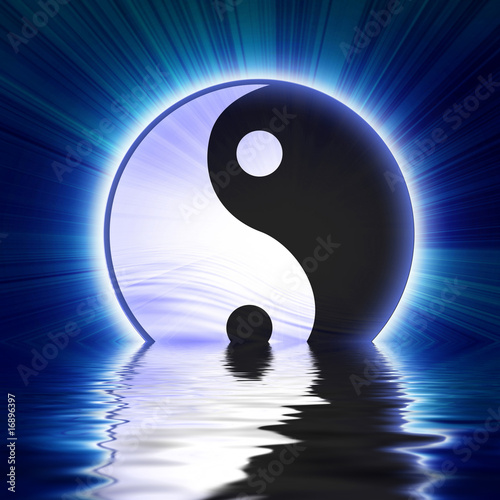  Yin yang symbol