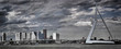 Le pont Erasmus, Rotterdam, Pays-bas.