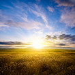 beautiful sunset above autumn field