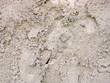 Concrete texture, stucco wall, background Concrete texture, stucco wall, background