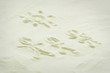 Picture of a family drawn into the sand