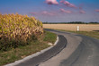 route de campagne