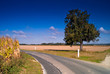 route de campagne