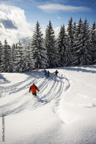 Photo: Descente dans la poudreuse Descente dans la poudreuse