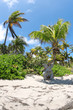 saint barth