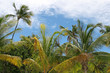 Saint barth