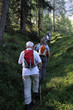 Durch den Wald
