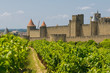 Medieval town of Carcassonne and vineyards