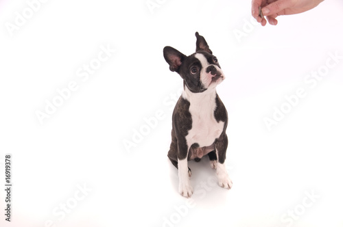 Photo: Treat time Treat time