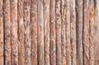 Rural primitive fence from pine logs