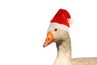 Weihnachtsgans