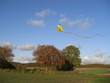 Drachenfliegen im Herbst