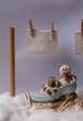 Souris et le linge