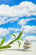Foto: Wellness Wellness