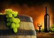 Wine composition in dark interior Wine composition in dark interior
