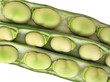 Broad been seeds in pods