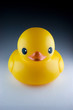 Yellow duck toy for bath