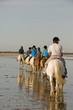 Photo : Cavalier à cheval dans les vague du bord de mer