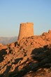 La Corse tour gênoise